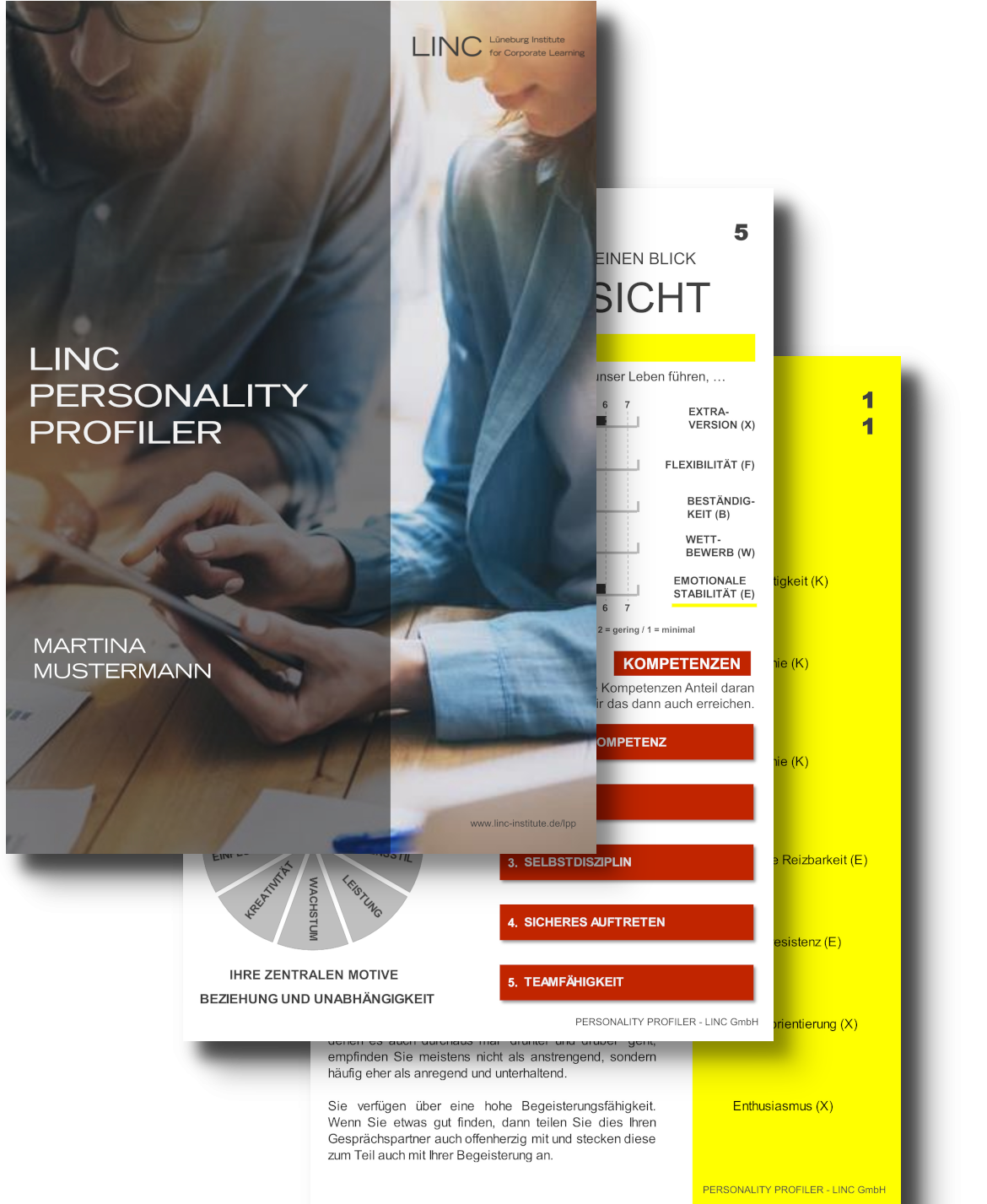 LINC Personality Profiler Personen analysieren einen Lebensstil-Testbogen mit Grafiken und Informationen.