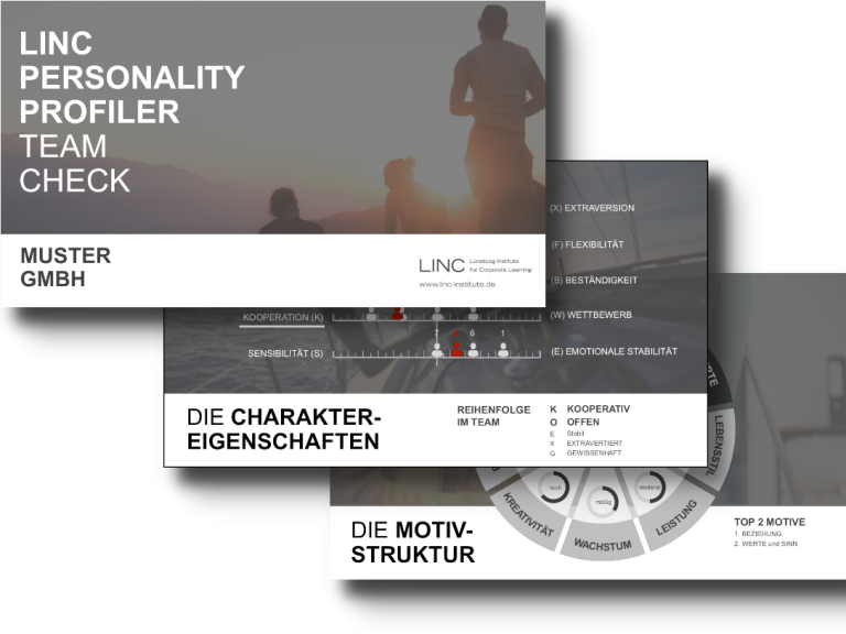 Präsentation mit Folien zu Persönlichkeitsprofiling und Teamcheck.
