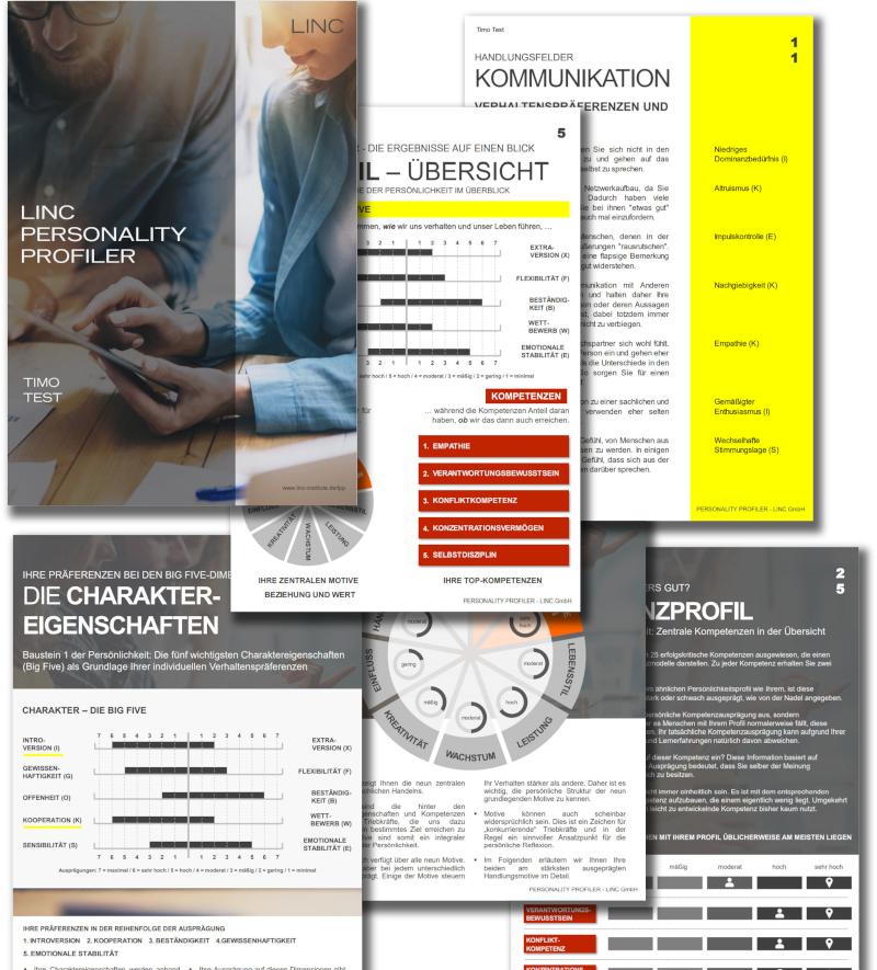 Verschiedene Seiten eines Persönlichkeitsprofils mit Diagrammen und Texten.